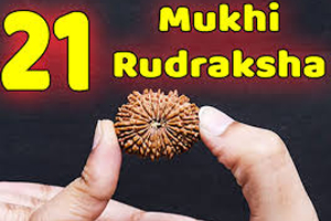 21 Mukhi Rudraksh