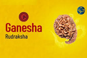 Ganesh Rudraksha