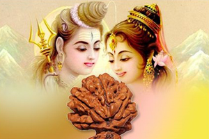 Gaurie Shankar Rudraksha